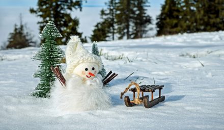 Odbierz 100 zł do Biedronki