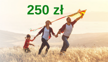 250 zł premii w gotówce z Kartą Otwartą na Dzisiaj BNP Paribas!