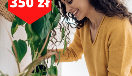 Darmowy rachunek z premią do 350 zł w gotówce od Banku BNP Paribas! (ZAKOŃCZONO)