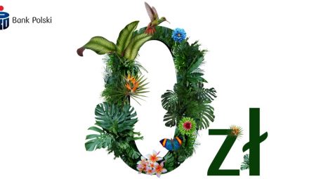 500 z艂 do Allegro i 0 z艂 przez 2 lata za PKO Konto Firmowe Banku PKO BP