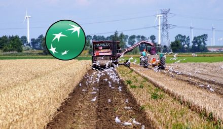 Bank BNP Paribas liderem wsparcia polskich rolników. Podano dane dotyczące kredytów