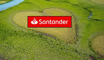 Konkurs Santander Bank Polska na Międzynarodowy Dzień Ziemi. Bank rozda nasiona kwiatów