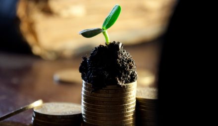 Dywidendy w sektorze bankowym. Rekordowe wartości