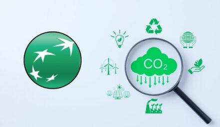 Szerszy dostęp do platformy Envirly w Banku BNP Paribas. Narzędzie dla wszystkich klientów biznesowych banku