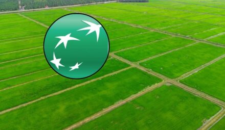 Powstał poradnik Banku BNP Paribas. Pomoże firmom przeprowadzić zrównoważoną transformację