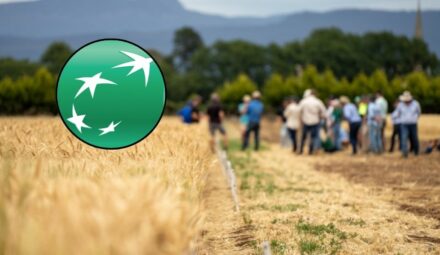 Nowy produkt kredytowy w Banku BNP Paribas. Pomoże przedsiębiorcom z branży rolno-spożywczej