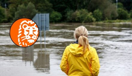 Wsparcie dla klientów firmowych ING Banku Śląskiego. Dotyczy wybranej grupy