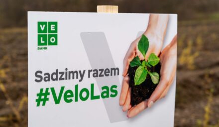 Akcja „Sadzimy razem #VeloLas” VeloBanku. Włączą się w nią uczestnicy Targów Franczyzowych w Warszawie