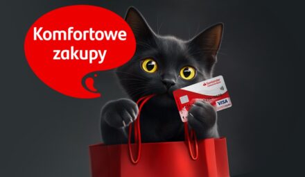 Karta Visa Comfort Santander Consumer Banku - szczegóły oferty