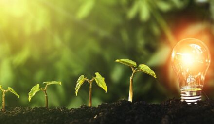 Green Impact z partnerstwem PKO BP. Bank wesprze innowacyjne rozwiązania klimatyczne
