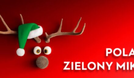 Polacy to praktyczni Mikołajowie. Badanie VeloBanku