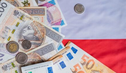 Waluta euro w Polsce. Rośnie sceptycyzm