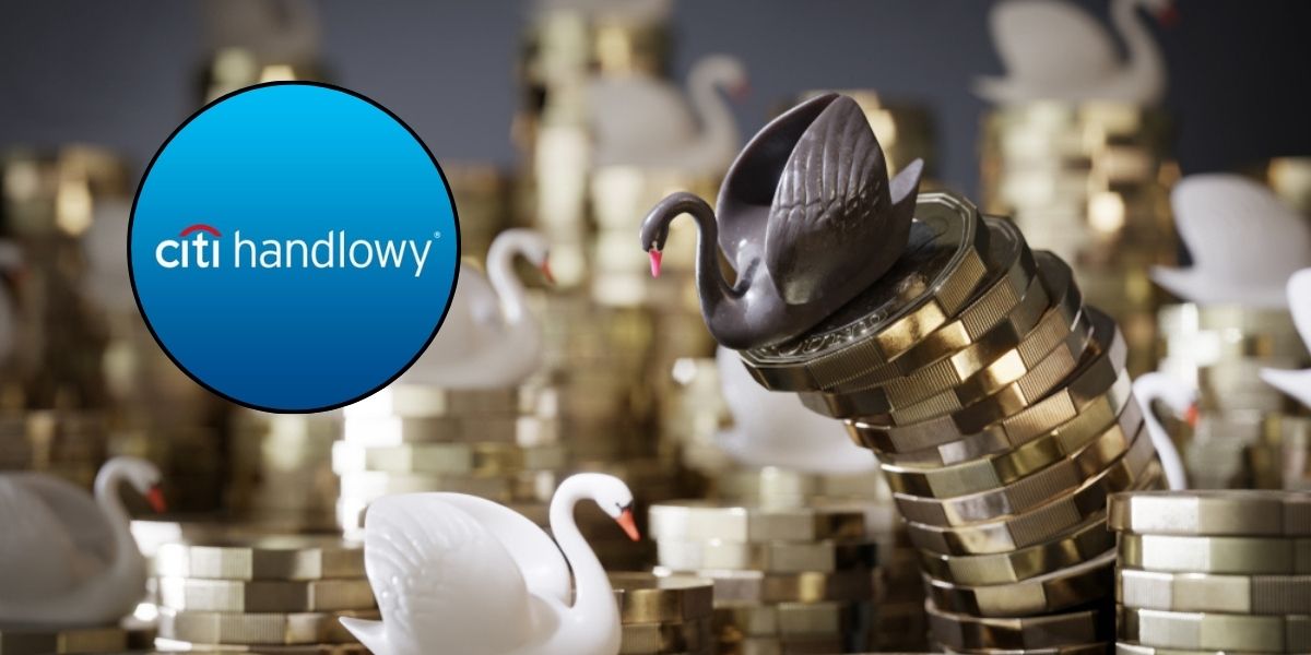 „Czarne łabędzie” na rynku walutowym. Wirtualne Seminarium Banku Citi Handlowy