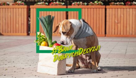 680 zł w promocji BNP Paribas za Konto Otwarte na Ciebie +200 zł w Bezcennych Chwilach