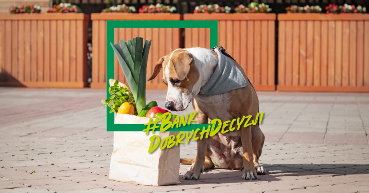 680 zł w promocji BNP Paribas za Konto Otwarte na Ciebie +400 zł w Bezcennych Chwilach