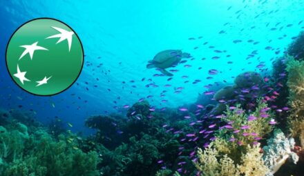 BNP Paribas Foundation ogłasza konkurs. Tematem badania nad przyszłością oceanów