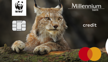 Fundacja WWF Polska i Bank Millennium przedłużają partnerstwo