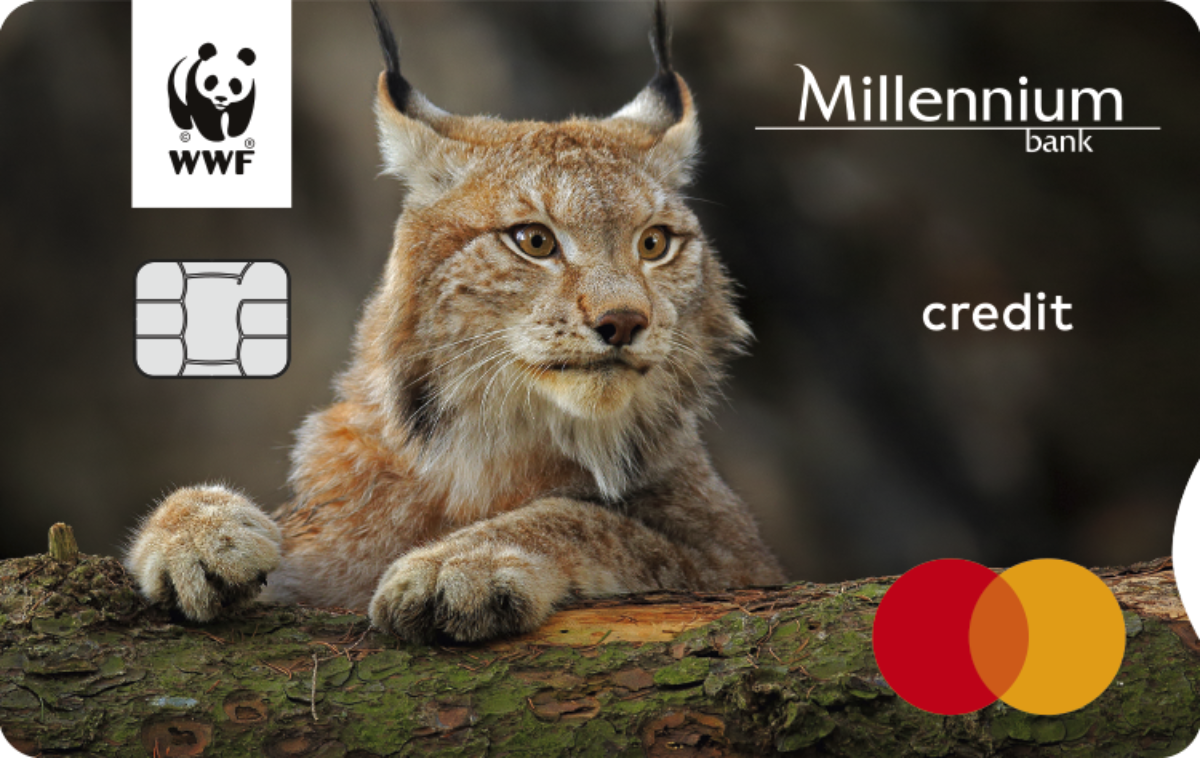 Fundacja WWF Polska i Bank Millennium przedłużają partnerstwo