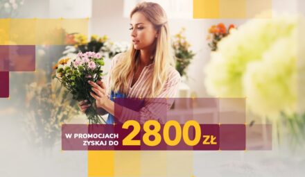 Nawet 2800 zł z iKontem Biznes Alior Banku w promocji